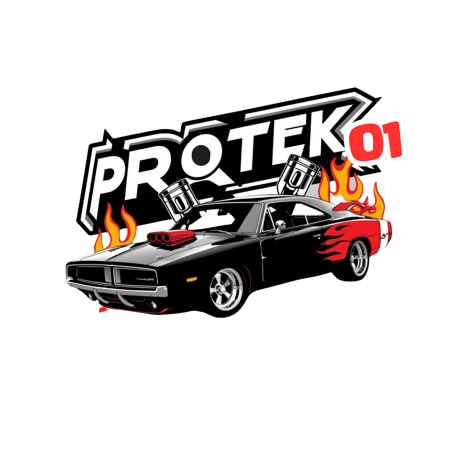 Protek01 Özel Servis